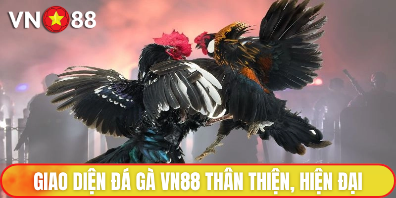 Đá Gà VN88 - Đấu Trường Chọi Kê Lừng Danh, Uy Tín Hàng Đầu 2 Sảnh đá gà có thiết kế chuyên nghiệp và độc đáo