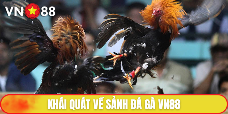 Đá Gà VN88 - Đấu Trường Chọi Kê Lừng Danh, Uy Tín Hàng Đầu 1 Đá gà tại VN88 là sảnh cá cược nổi tiếng